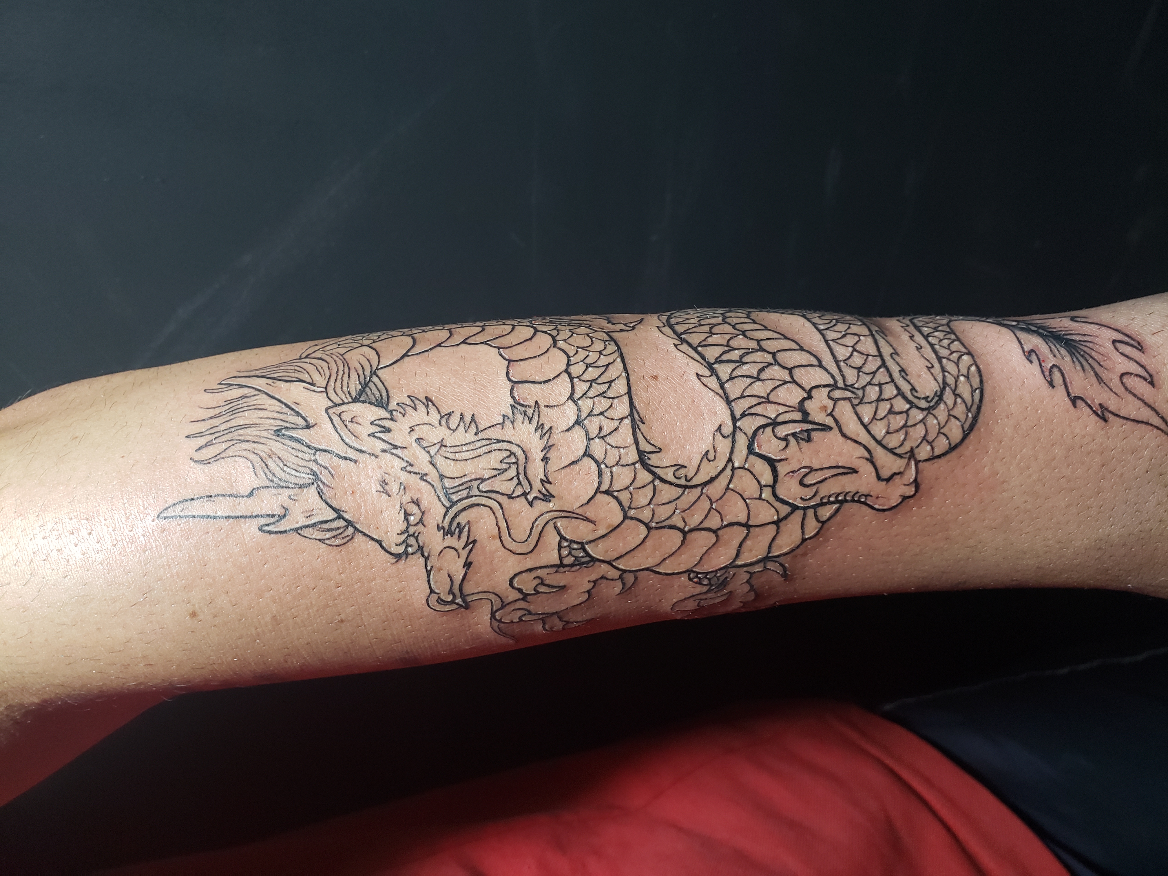 Tatuagem de dragão
